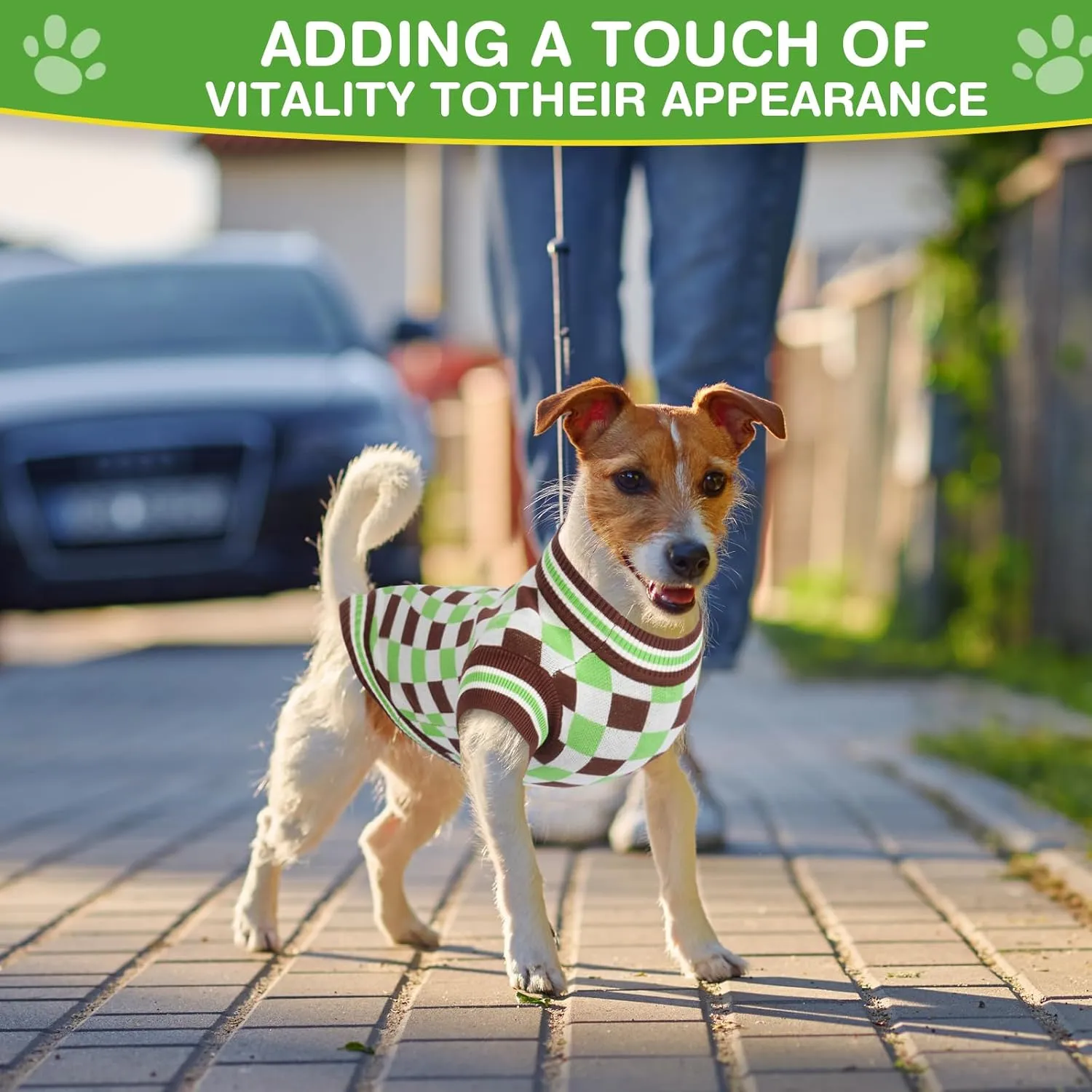Round Neck Pullover Dog Sweater,Pet Sweaters for Dogs Boy and Girl,Pet Knit Dog Clothes,Pet Clothing,Suitable for Various Types of Dogs(Green Group L)