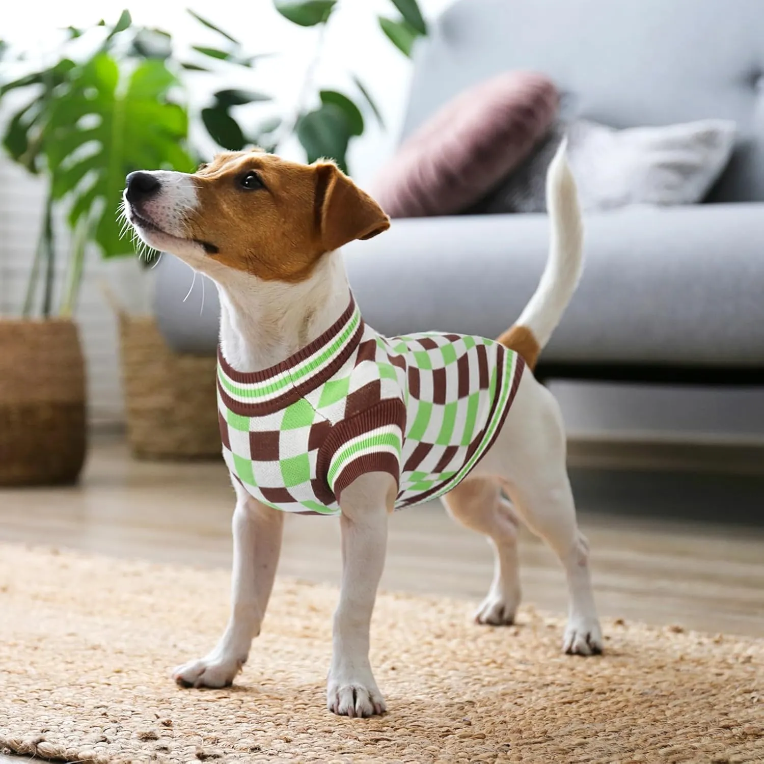 Round Neck Pullover Dog Sweater,Pet Sweaters for Dogs Boy and Girl,Pet Knit Dog Clothes,Pet Clothing,Suitable for Various Types of Dogs(Green Group L)