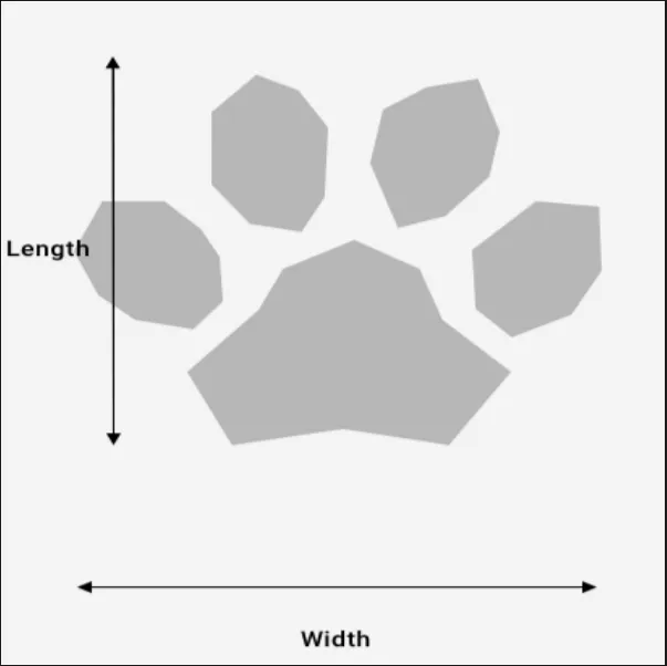 Silver Paw Waterproof Booties