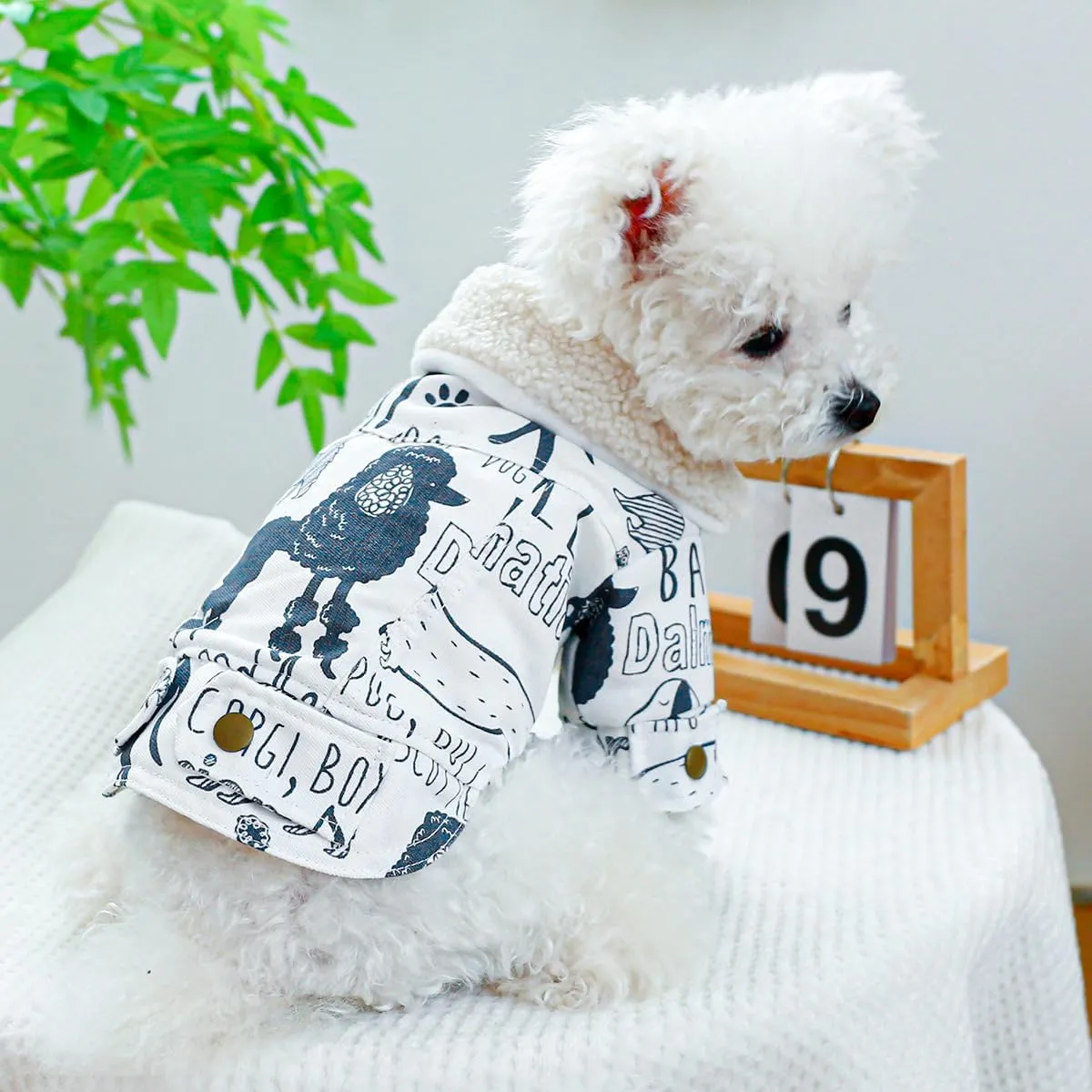 Small Dog Winter Denim Jacket Fleece Lined Puppy Cute Jean Clothes Cold Weather Dog Cozy Warm Coats Chihuahua Yorkie Stylish Clothes Christmas Holiday Birthday Dog Outfits