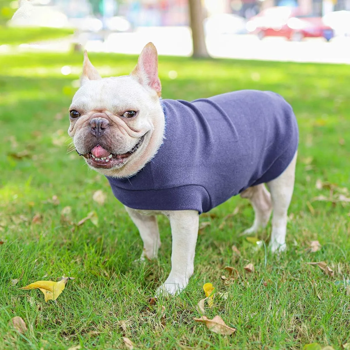Small Dogs Fleece Dog Sweatshirt - Cold Weather Hoodies Spring Soft Vest Thickening Warm Cat Sweater Puppy Clothes Sweater Winter Sweatshirt Pet Pajamas for Small Dog Cat Puppy (Small, Grayish Purple)