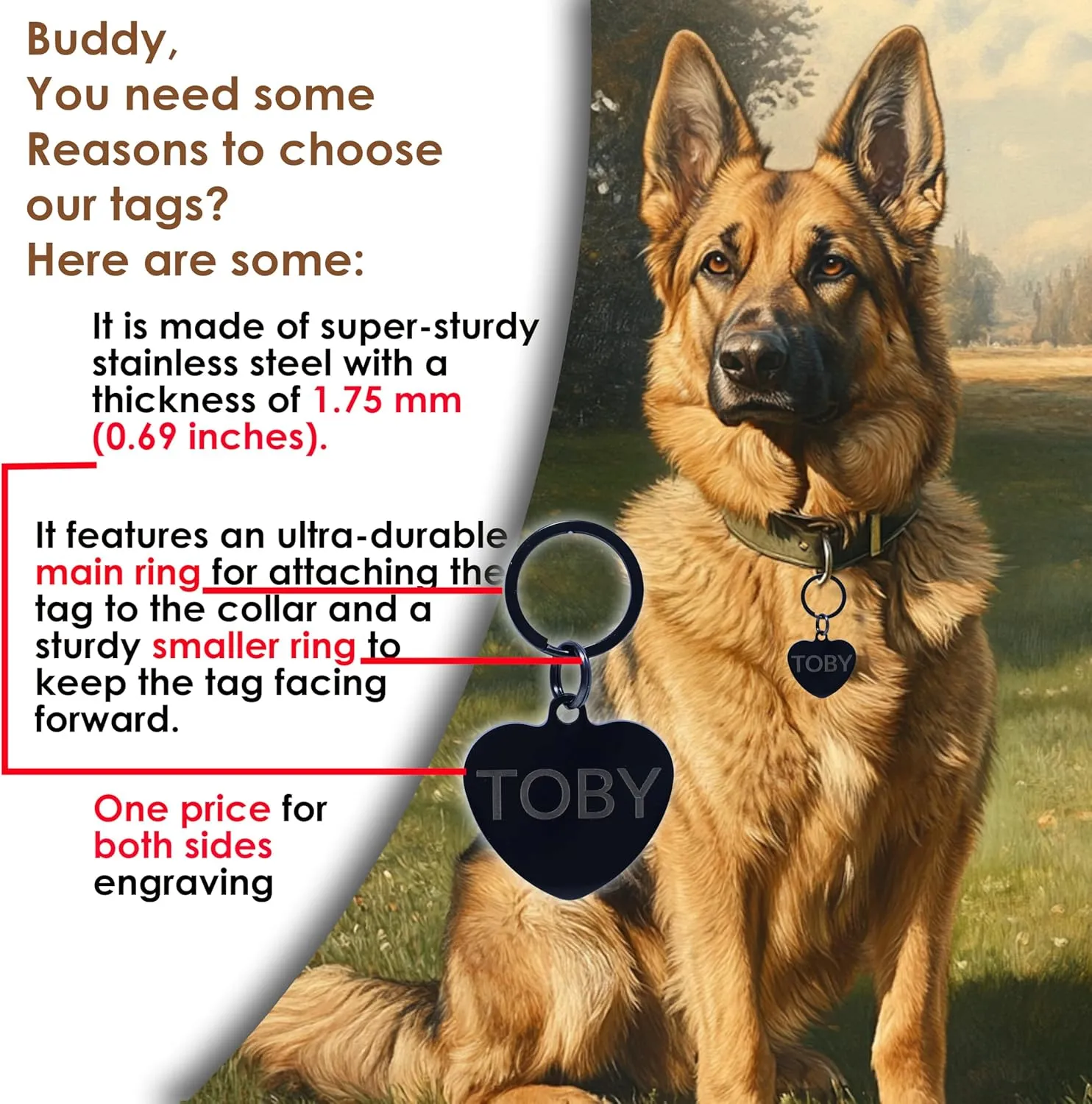 Stainless Steel Dog Tags Personalized, Pet Tag Personalized, Cat Tag Personalized, Pet ID Tags, Engraved on Both Sides, Bone, Heart and Round-Shaped (Heart, Standard)