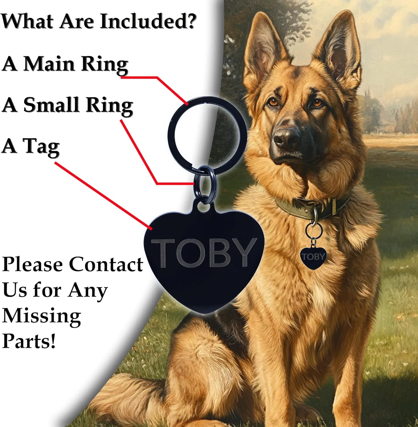 Stainless Steel Dog Tags Personalized, Pet Tag Personalized, Cat Tag Personalized, Pet ID Tags, Engraved on Both Sides, Bone, Heart and Round-Shaped (Heart, Standard)