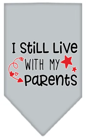 Still Live With My Parents Screen Print Pet Bandana Grey Small