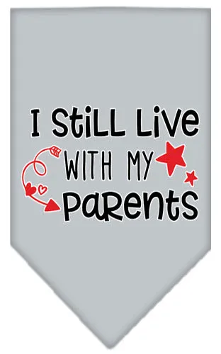 Still Live With My Parents Screen Print Pet Bandana Grey Small
