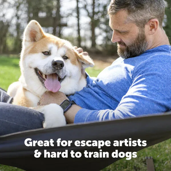 Stubborn Dog In-Ground Fence Receiver Collar