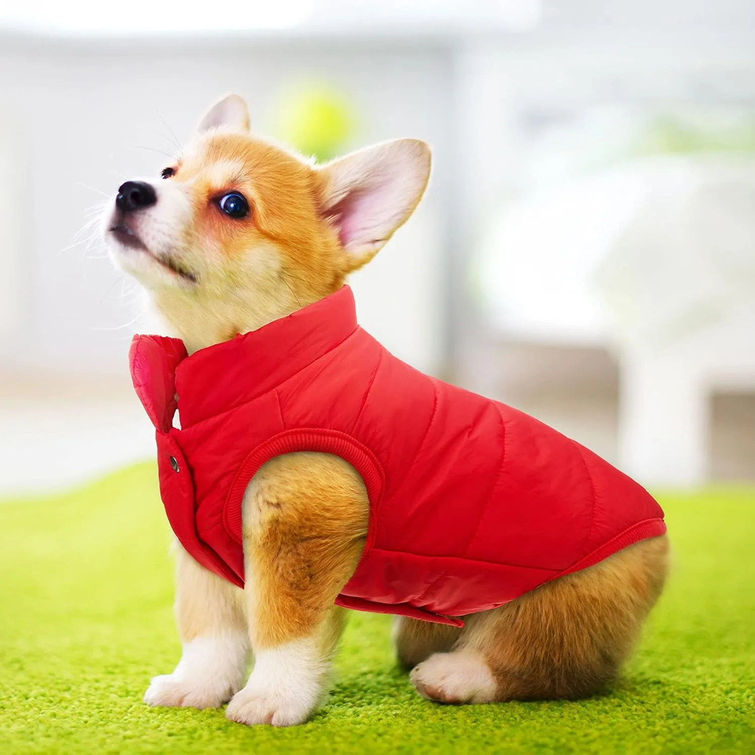 Syhood 2 Pieces Dog Jacket 2 Layers Fleece Lined Dog Jacket Warm Soft Windproof Small Pet Coat for Winter Cold Weather(X-Large,Navy, Red)