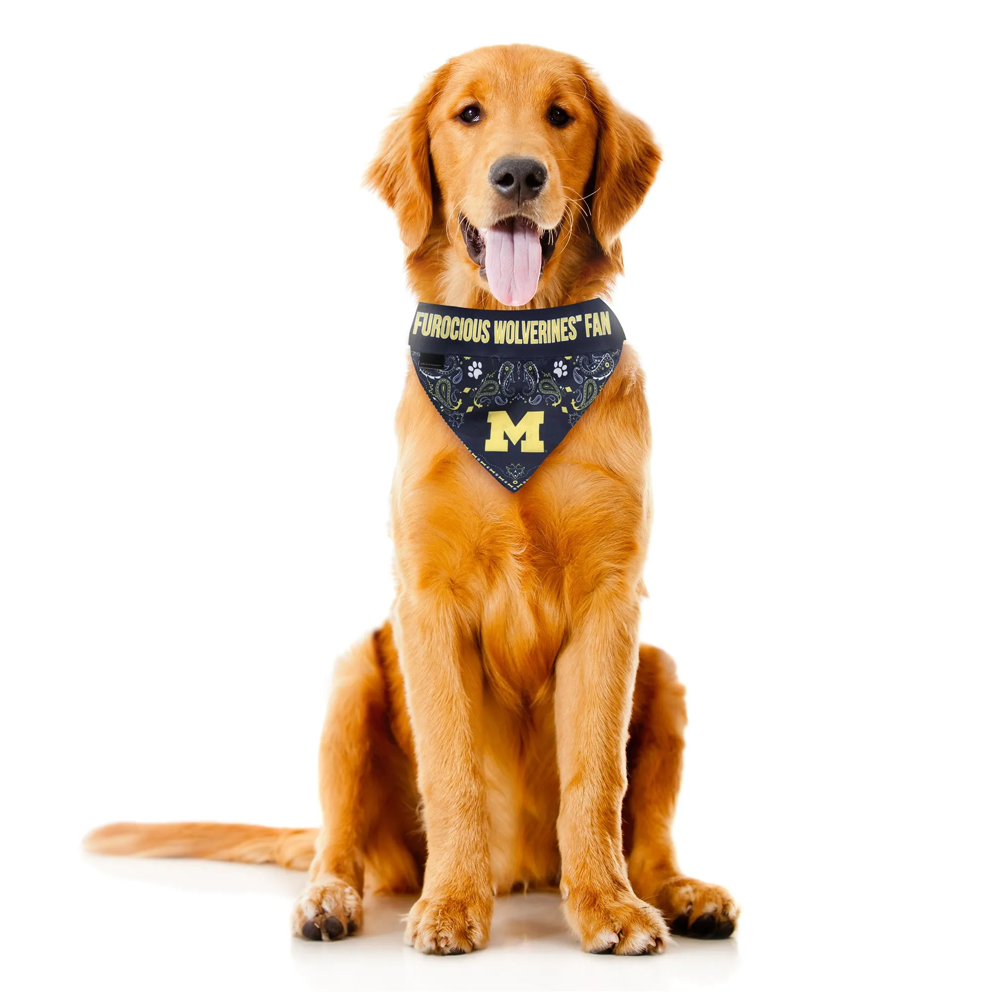 University of Michigan Pet Bandana
