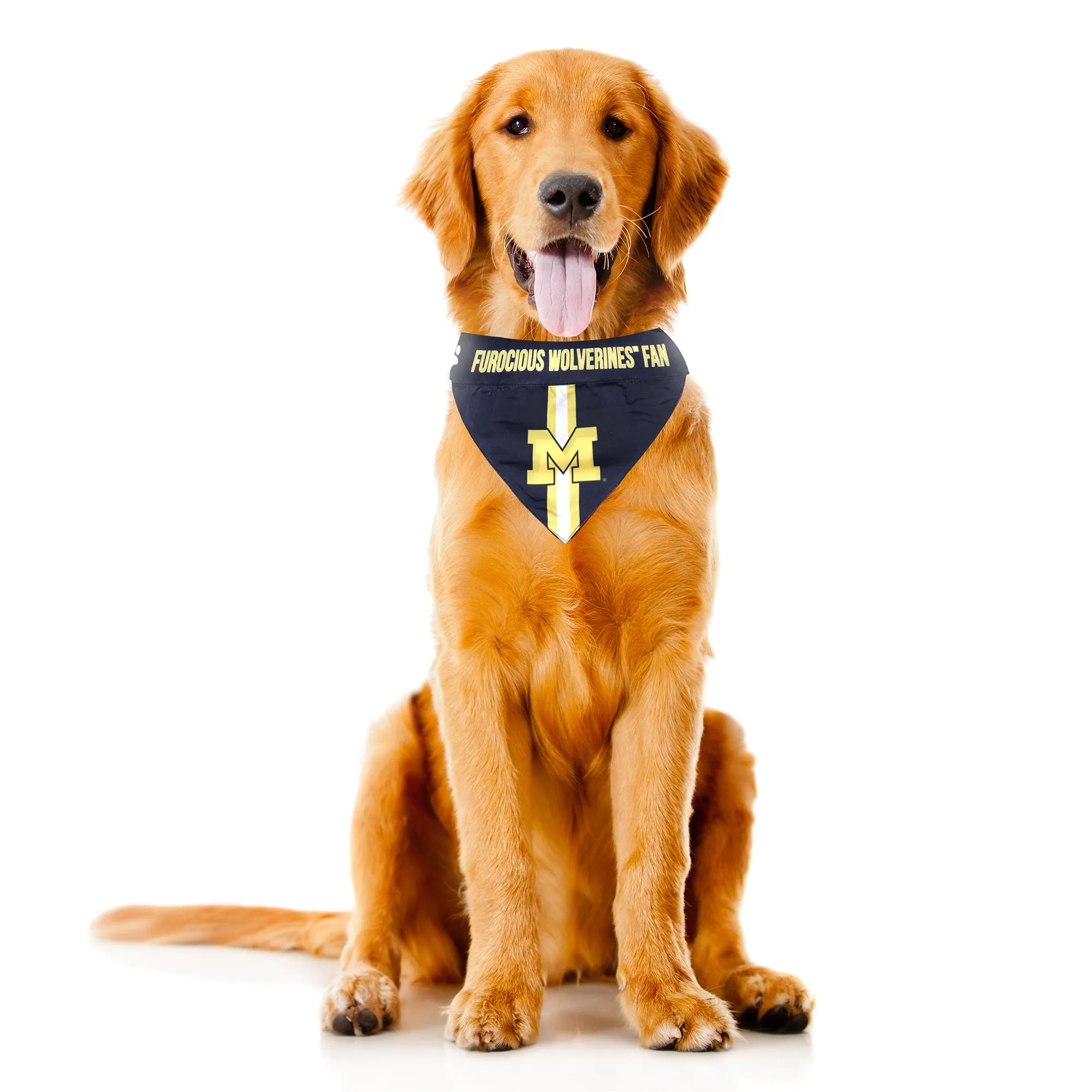 University of Michigan Pet Bandana