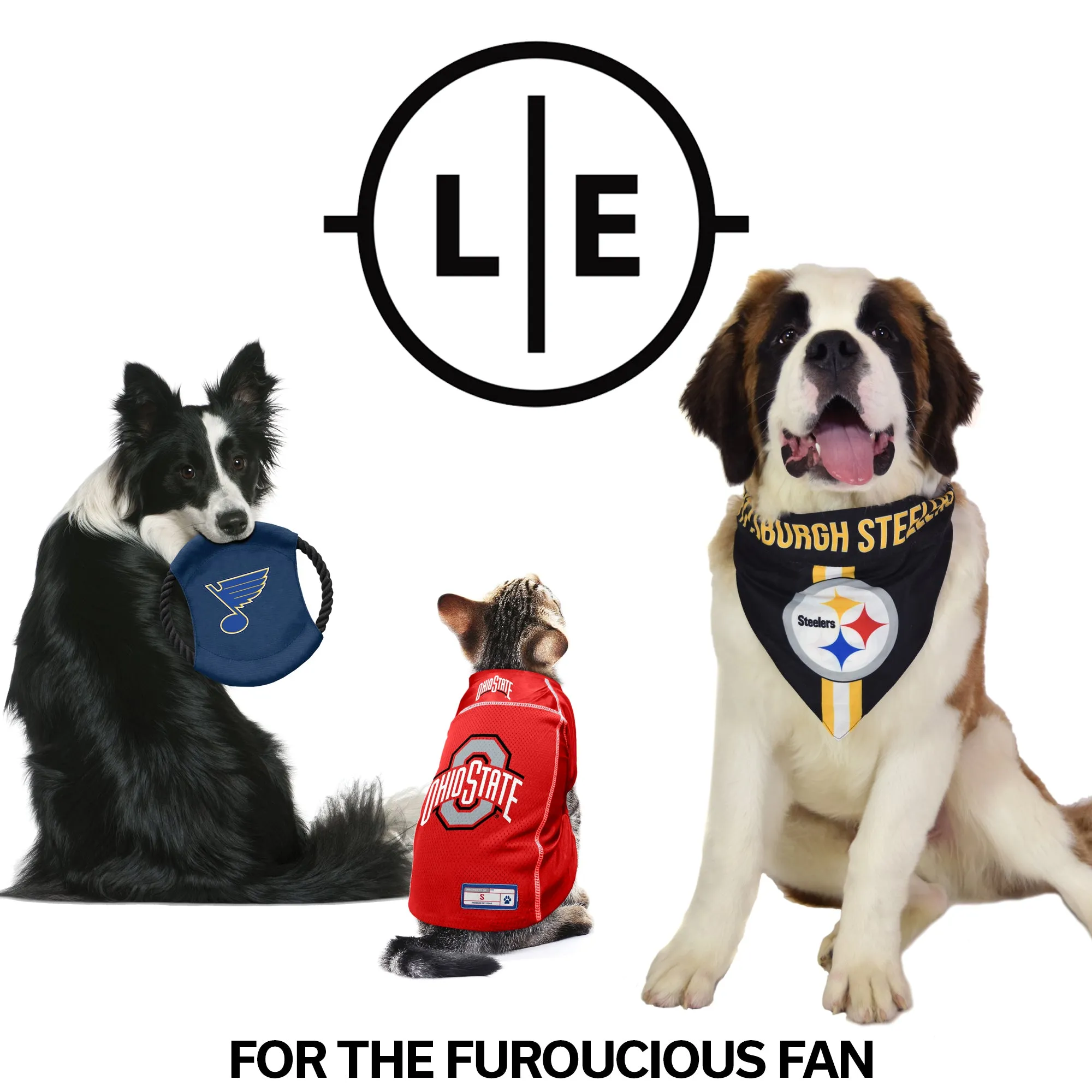 University of Michigan Pet Bandana