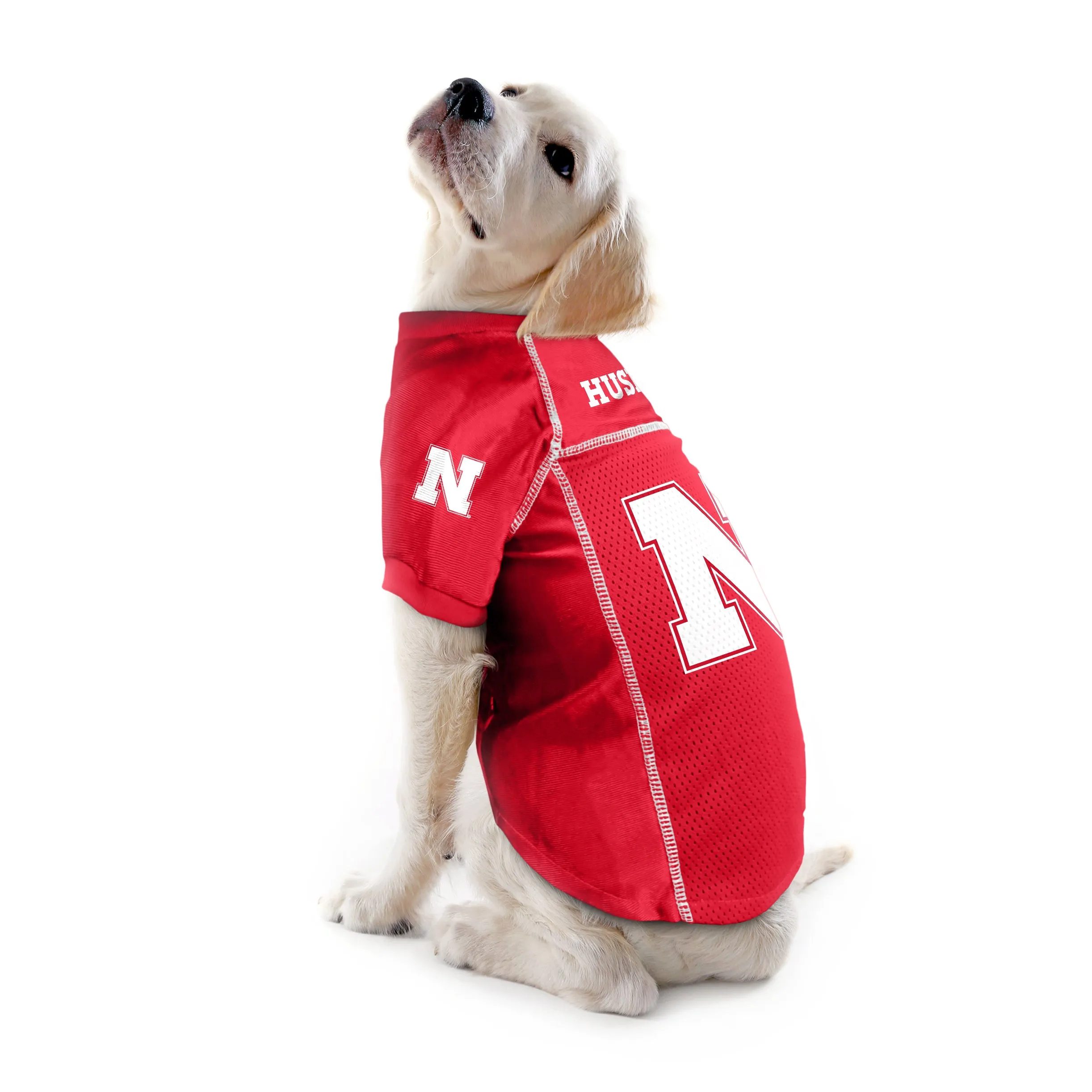 University of Nebraska Pet Jersey