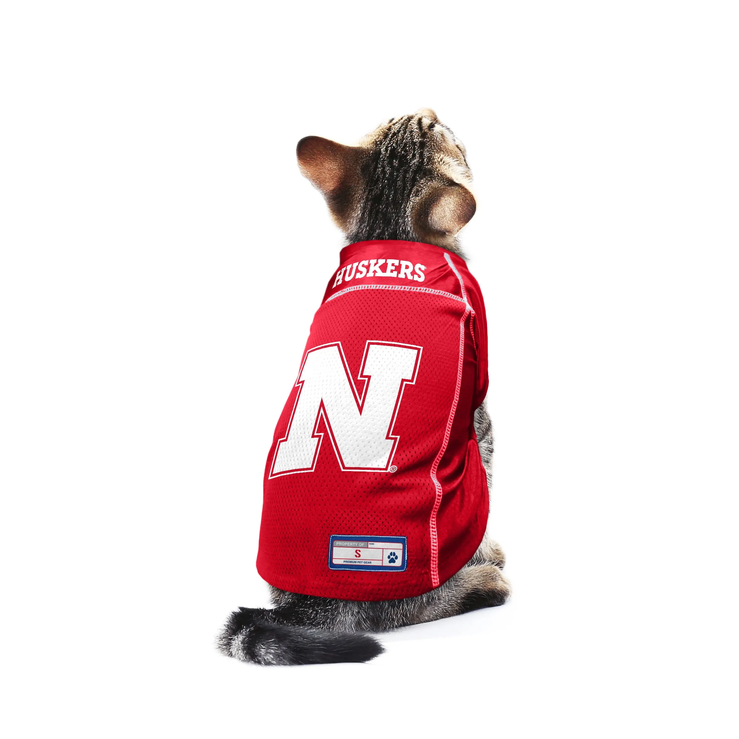 University of Nebraska Pet Jersey