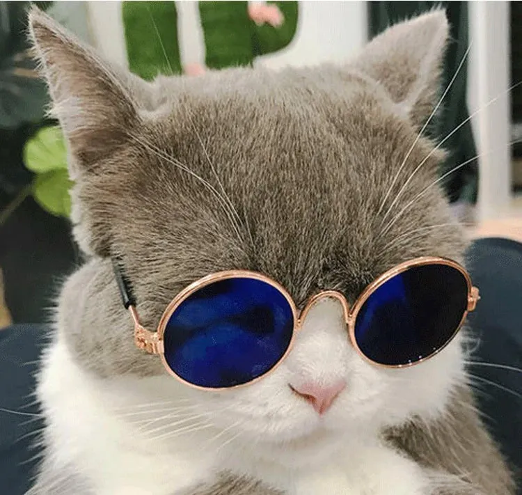 Vintage Round Pet Sunglasses