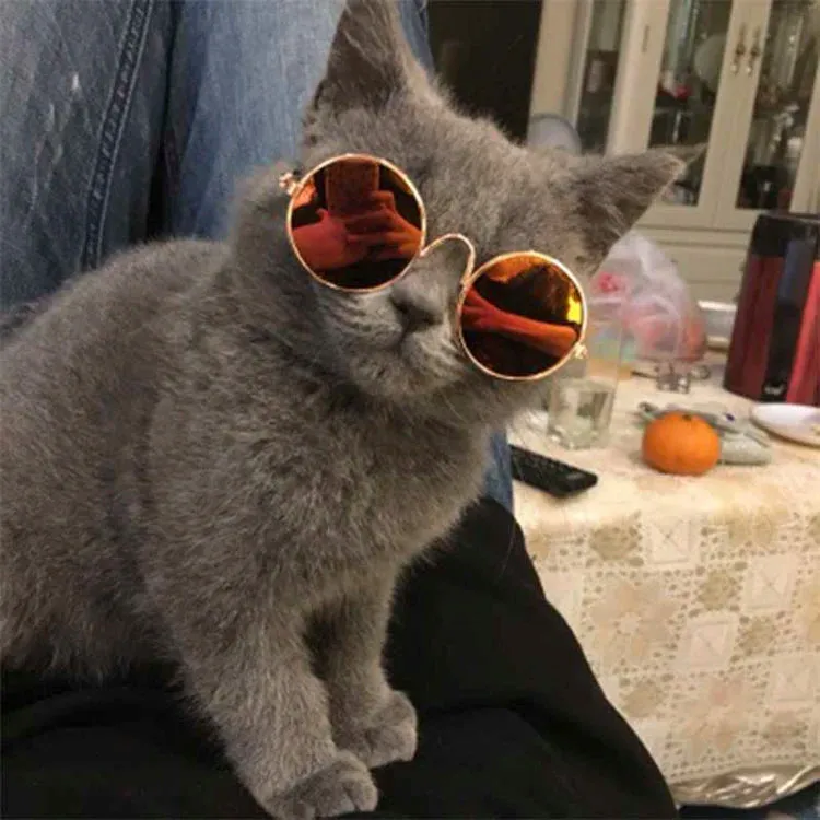 Vintage Round Pet Sunglasses
