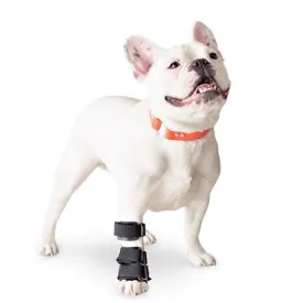 Walkin’ Carpal Dog Splint