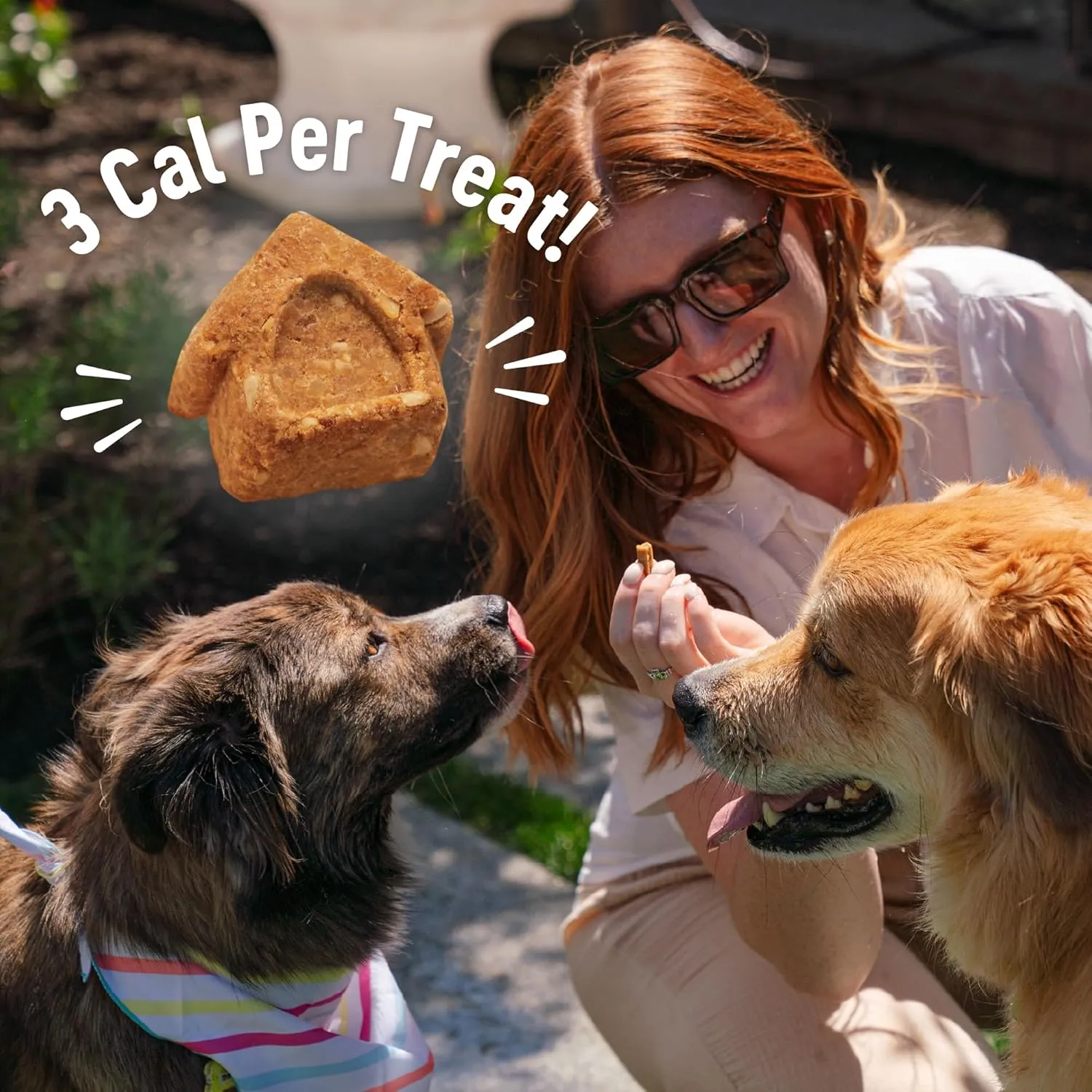 Wellness Puppy Treats, Natural, Training Treat, Grain Free, Crunchy Chicken & Carrot (6 Ounce bag)
